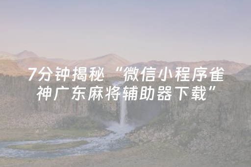 7分钟揭秘“微信小程序雀神广东麻将辅助器下载”（插件可信吗)