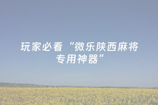 玩家必看“微乐陕西麻将专用神器”（AI辅助胡牌规则)