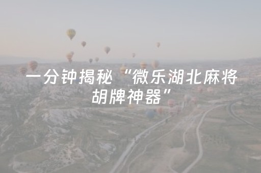 一分钟揭秘“微乐湖北麻将胡牌神器”（怎么能调好牌)
