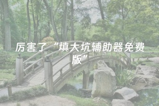 厉害了“填大坑辅助器免费版”（神器通用版)