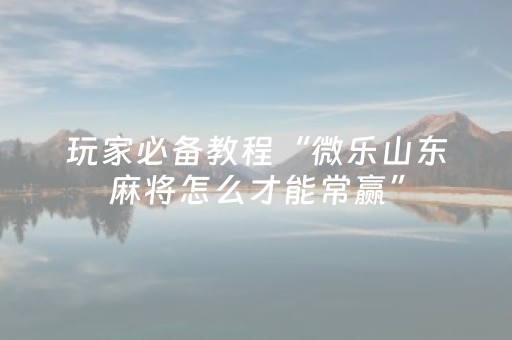 玩家必备教程“微乐山东麻将怎么才能常赢”（神器最新免费)
