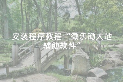 安装程序教程“微乐锄大地辅助软件”（插件可信吗)