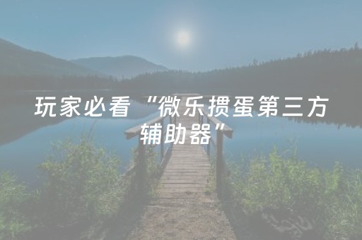 实测教程“微信红包作弊器收费版”（详细透视教程）-哔哩哔哩