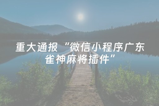重大通报“微信小程序广东雀神麻将插件”（究竟是不是有挂)