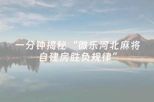 一分钟揭秘“微乐河北麻将自建房胜负规律”（插件开挂免费AI)