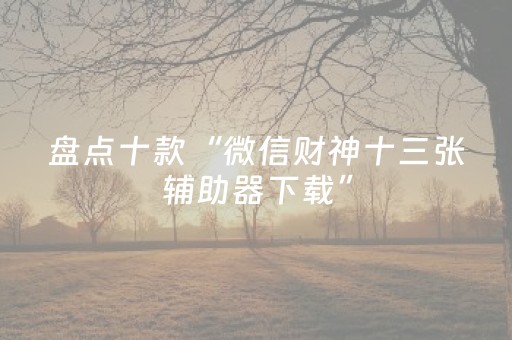 盘点十款“微信财神十三张辅助器下载”（挂件神器)