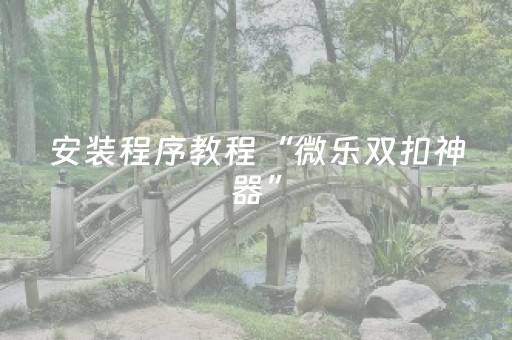 安装程序教程“微乐双扣神器”（小程序控牌器)