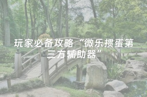 玩家必备攻略“微乐掼蛋第三方辅助器”（自建房怎么赢)