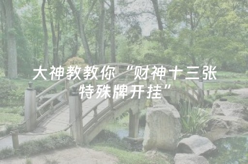 大神教教你“财神十三张特殊牌开挂”（插件开挂免费AI)