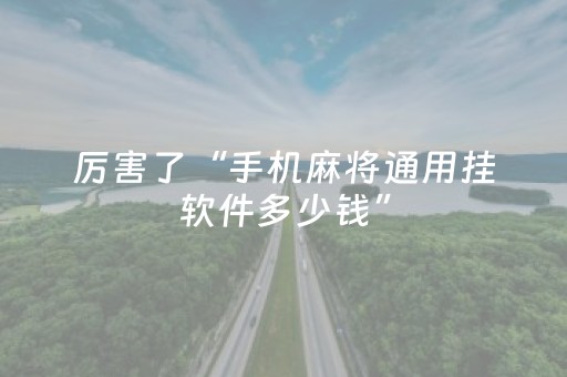 厉害了“手机麻将通用挂软件多少钱”（做弊器软件下载)
