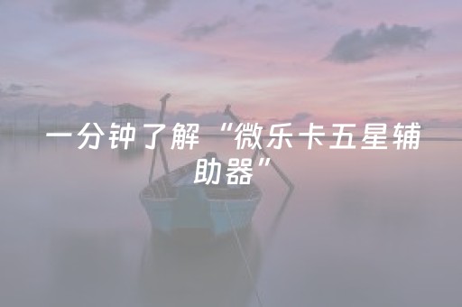 一分钟了解“微乐卡五星辅助器”（确实有插件吗)