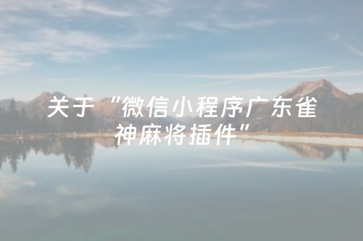 关于“微信小程序广东雀神麻将插件”（通用挂软件多少钱)
