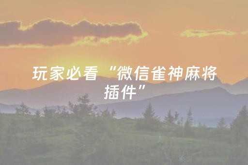给玩家盘点十款“微信麻将开挂神器下载”（胜负规律拿好牌)