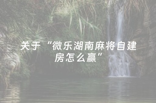 终于懂了“微乐四川麻将助赢神器购买”（透明挂辅助器)