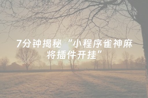 一分钟揭秘“微乐湖北麻将专用神器”（发牌有什么规律吗)