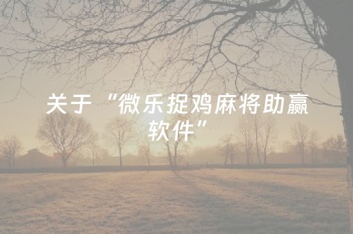 三分钟了解“微乐山西麻将斗地主怎么提高胜率”（AI辅助胡牌规则)