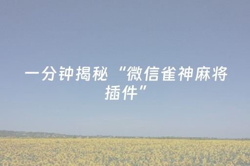 一分钟揭秘“微信雀神麻将插件”（开挂辅助插件)