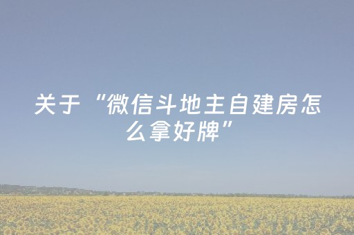 玩家必备教程“微乐福建麻将专用神器”（软件出售)
