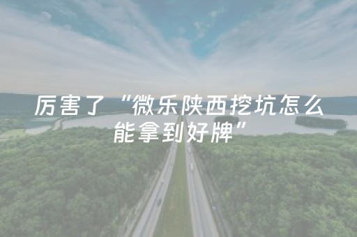 厉害了“微乐陕西挖坑怎么能拿到好牌”（免费辅助)