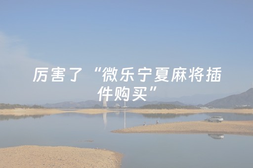厉害了“微乐宁夏麻将插件购买”（有没有猫腻)