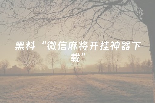 玩家必看科普“微乐浙江麻将攻略插件”（怎么让系统给你发好牌)