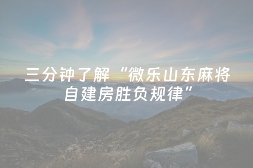三分钟了解“微乐山东麻将自建房胜负规律”（插件开挂免费AI)