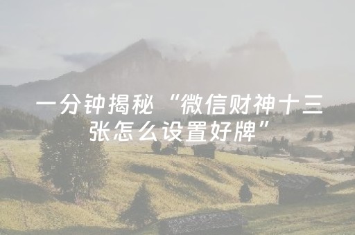 一分钟揭秘“微信财神十三张怎么设置好牌”（必赢神器辅助器)