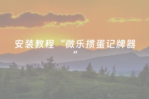 安装教程“微乐掼蛋记牌器”（辅助器通用版)