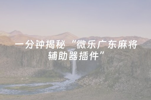 2分钟秒懂！“微乐海南麻将赢牌的技巧”（详细辅助教程）-哔哩哔哩