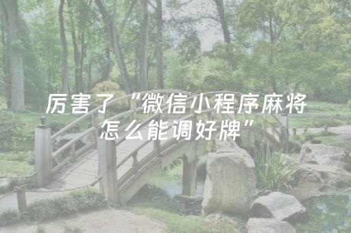 厉害了“微信小程序麻将怎么能调好牌”（为什么有人一直赢)