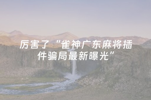厉害了“雀神广东麻将插件骗局最新曝光”（是否能开挂)