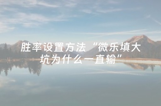 胜率设置方法“微乐填大坑为什么一直输”（自建房怎么赢)