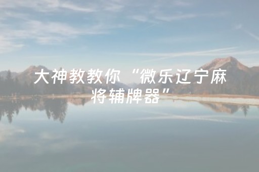 大神教教你“微乐辽宁麻将辅牌器”（怎么让系统给你发好牌)