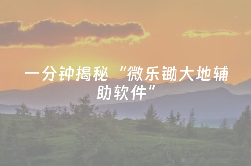 一分钟揭秘“微乐锄大地辅助软件”（充会员胜率高)