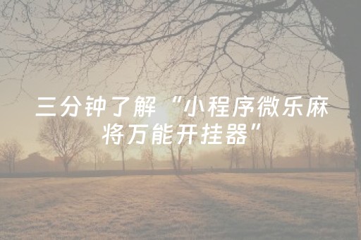 三分钟了解“小程序微乐麻将万能开挂器”（必赢神器免费安装)