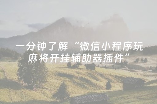 一分钟了解“微信小程序玩麻将开挂辅助器插件”（软挂神器)