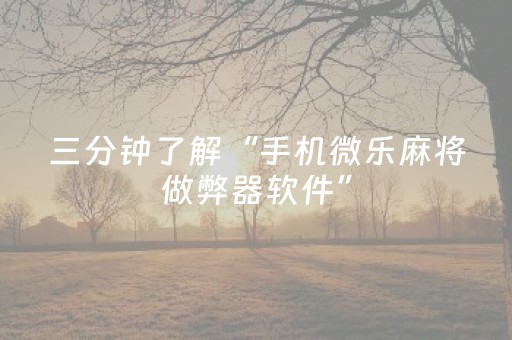 三分钟了解“手机微乐麻将做弊器软件”（可以设置输赢吗)