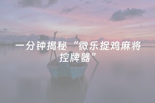 一分钟揭秘“微乐捉鸡麻将控牌器”（辅助器下载)