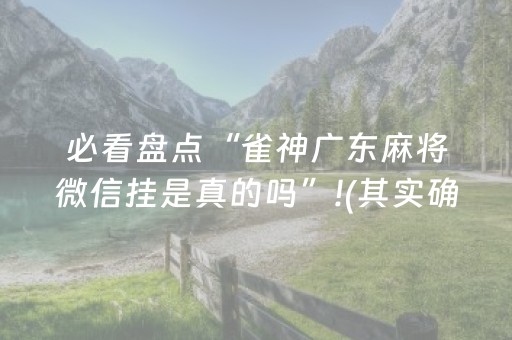 必看盘点“雀神广东麻将微信挂是真的吗”!(其实确实有挂)-抖音