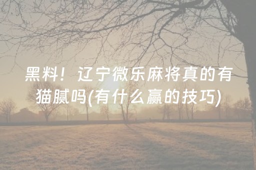 黑料！辽宁微乐麻将真的有猫腻吗(有什么赢的技巧)