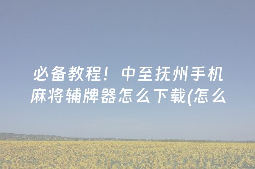 必备教程！中至抚州手机麻将辅牌器怎么下载(怎么能调好牌)