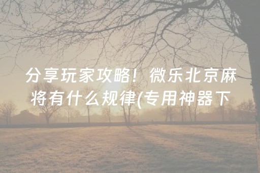 分享玩家攻略！微乐北京麻将有什么规律(专用神器下载)