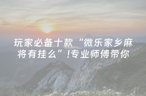 玩家必备十款“微乐家乡麻将有挂么”!专业师傅带你一起了解（详细教程）-抖音