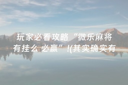 玩家必看攻略“微乐麻将有挂么 必赢”!(其实确实有挂)-抖音