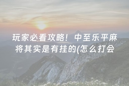 玩家必看攻略！中至乐平麻将其实是有挂的(怎么打会赢)