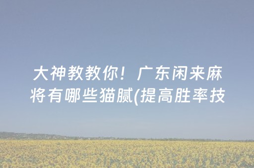 大神教教你！广东闲来麻将有哪些猫腻(提高胜率技巧)