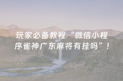 玩家必备教程“微信小程序雀神广东麻将有挂吗”!(确实是有挂)-抖音