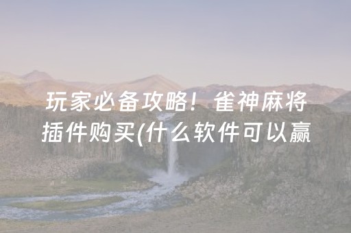 玩家必备攻略！雀神麻将插件购买(什么软件可以赢)