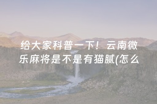 给大家科普一下！云南微乐麻将是不是有猫腻(怎么设置才能赢)
