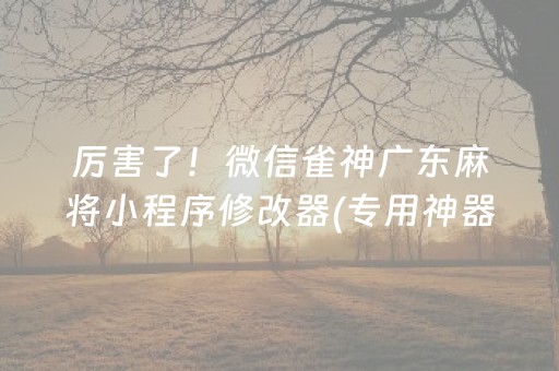 厉害了！微信雀神广东麻将小程序修改器(专用神器胡牌技巧)
